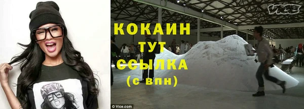 гашиш Богданович
