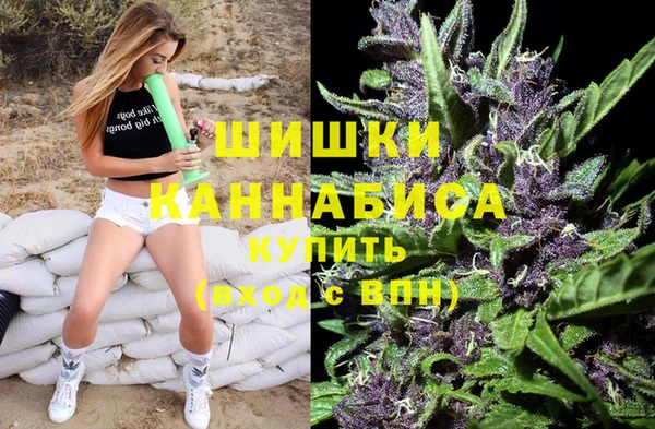 гашиш Богданович