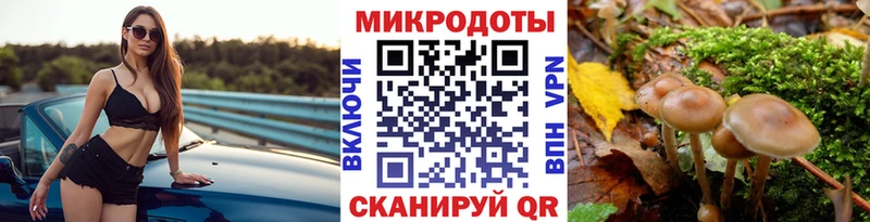 Псилоцибиновые грибы Psilocybe  Купить где  Бологое 